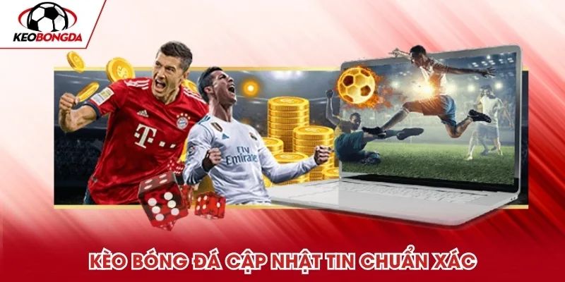 Chuyên mục tin tức bóng đá cập nhật hằng ngày