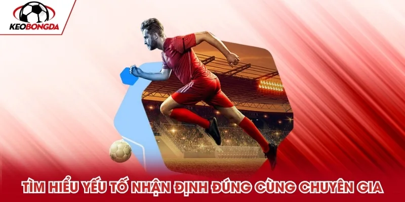 Các yếu tố cần rà soát trước khi nhận định