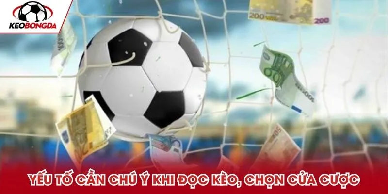 Yếu tố cần chú ý khi đọc kèo, chọn cửa cược