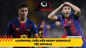 Liverpool chèo kéo Roony Bardghji tới Anfield