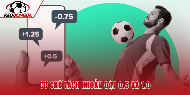 Kèo chấp 0.75 với hai mốc 0.5 và 1.0
