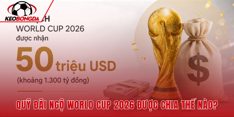 Quỹ FIFA và tiền thưởng vô địch World Cup theo thứ hạng