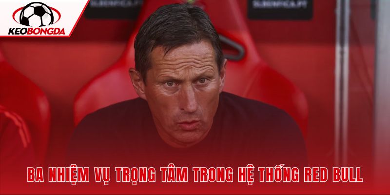Roger Schmidt phụ trách chiến lược, phát triển cầu thủ và kết nối các câu lạc bộ